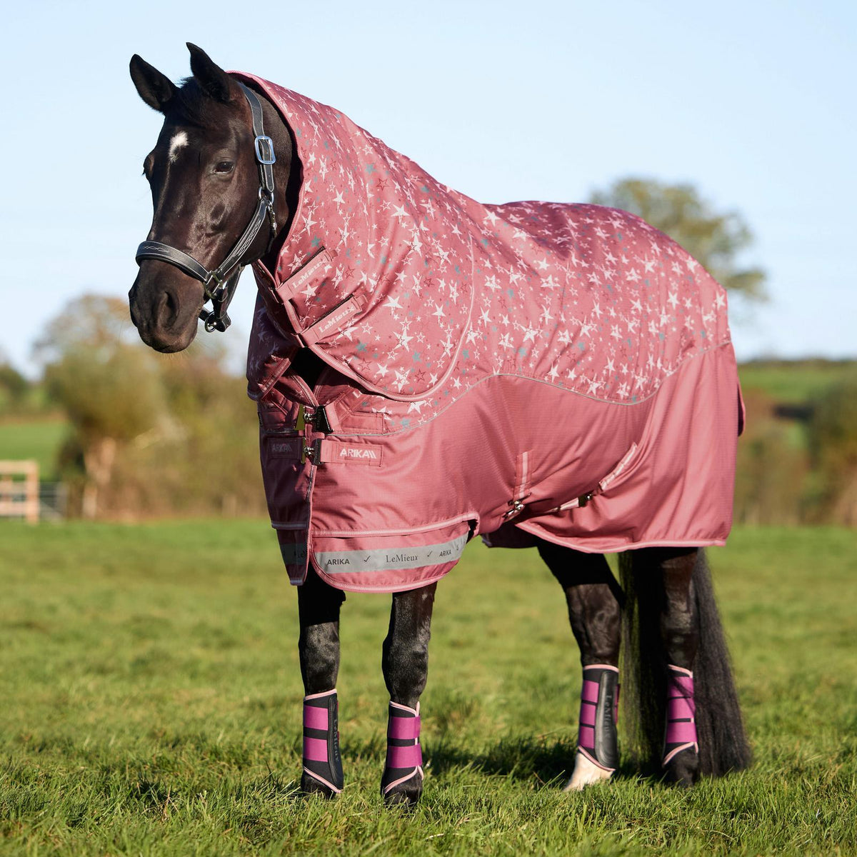 LeMieux Weidedecke Arika Star Turnout Rug mit Halsteil 0 g spiced earth