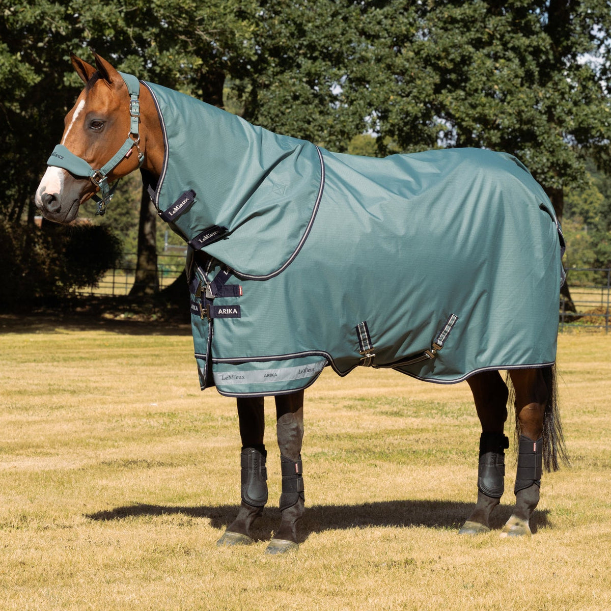LeMieux Outdoordecke Arika Ripstop Turnout Rug mit Halsteil 200 g aloe