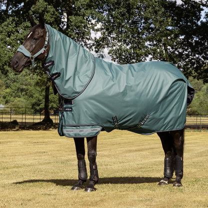 LeMieux Outdoordecke Arika Ripstop Turnout Rug mit Halsteil 200 g aloe
