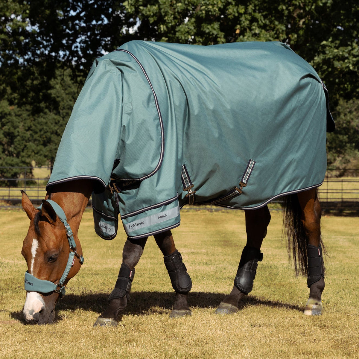LeMieux Outdoordecke Arika Ripstop Turnout Rug mit Halsteil 100 g aloe