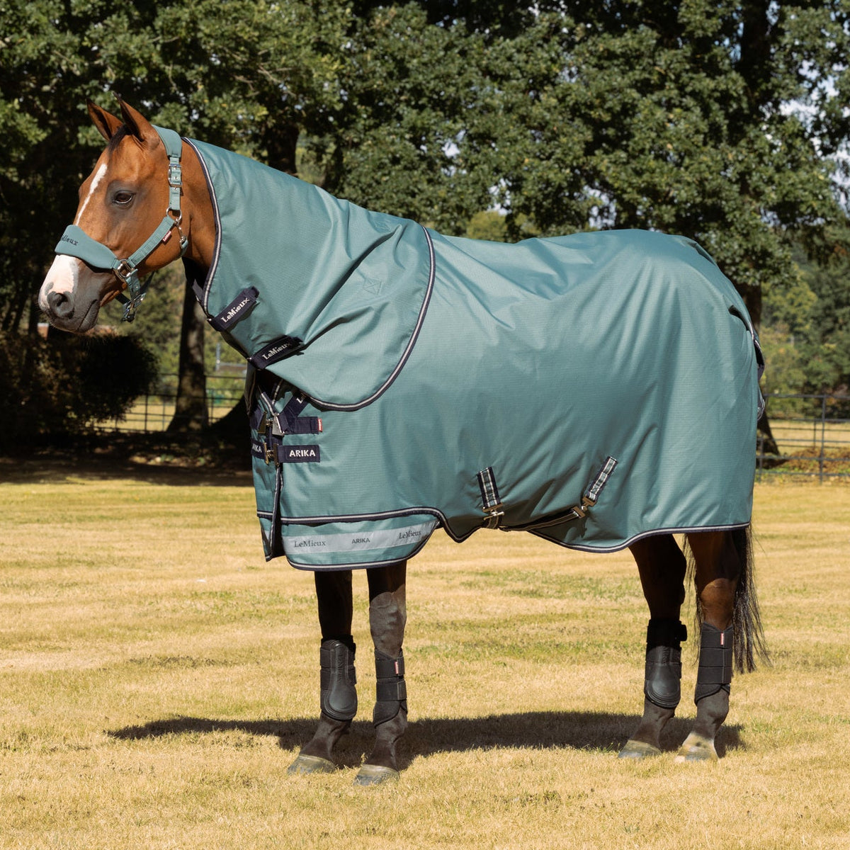 LeMieux Outdoordecke Arika Ripstop Turnout Rug mit Halsteil 100 g aloe