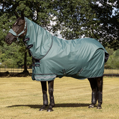 LeMieux Outdoordecke Arika Ripstop Turnout Rug mit Halsteil 100 g aloe