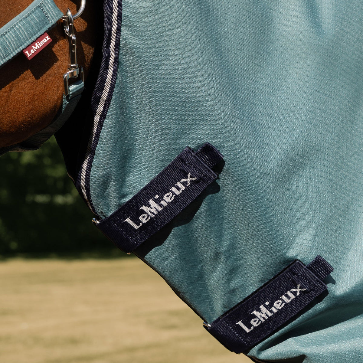 LeMieux Outdoordecke Arika Ripstop Turnout Rug mit Halsteil 100 g aloe