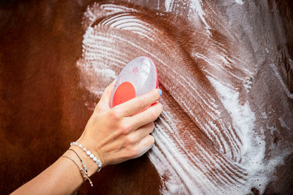 Imperial Riding IRHStar Care Waschbürste zum Befüllen mit Shampoo und Wasser