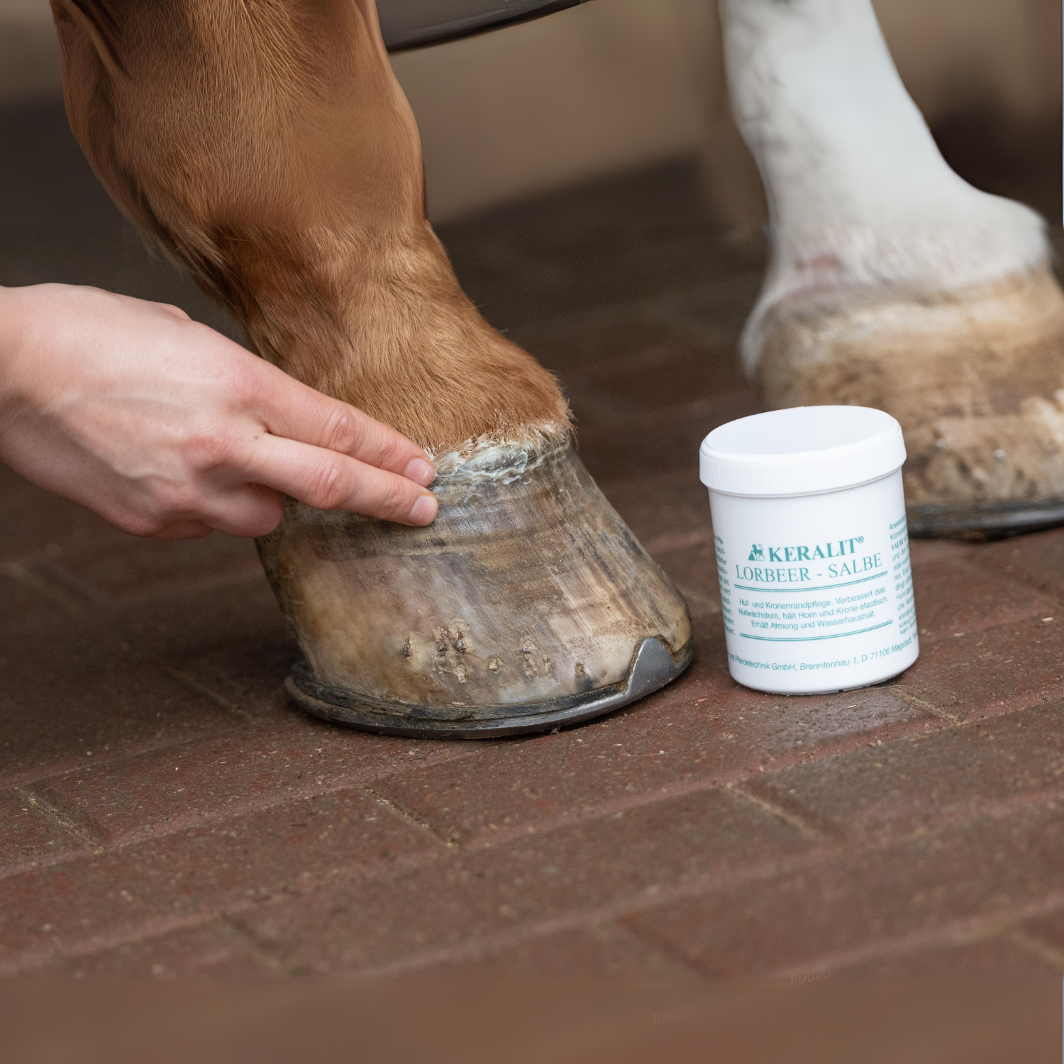 Keralit Laurel Ointment high-quality hoof and coronary band care