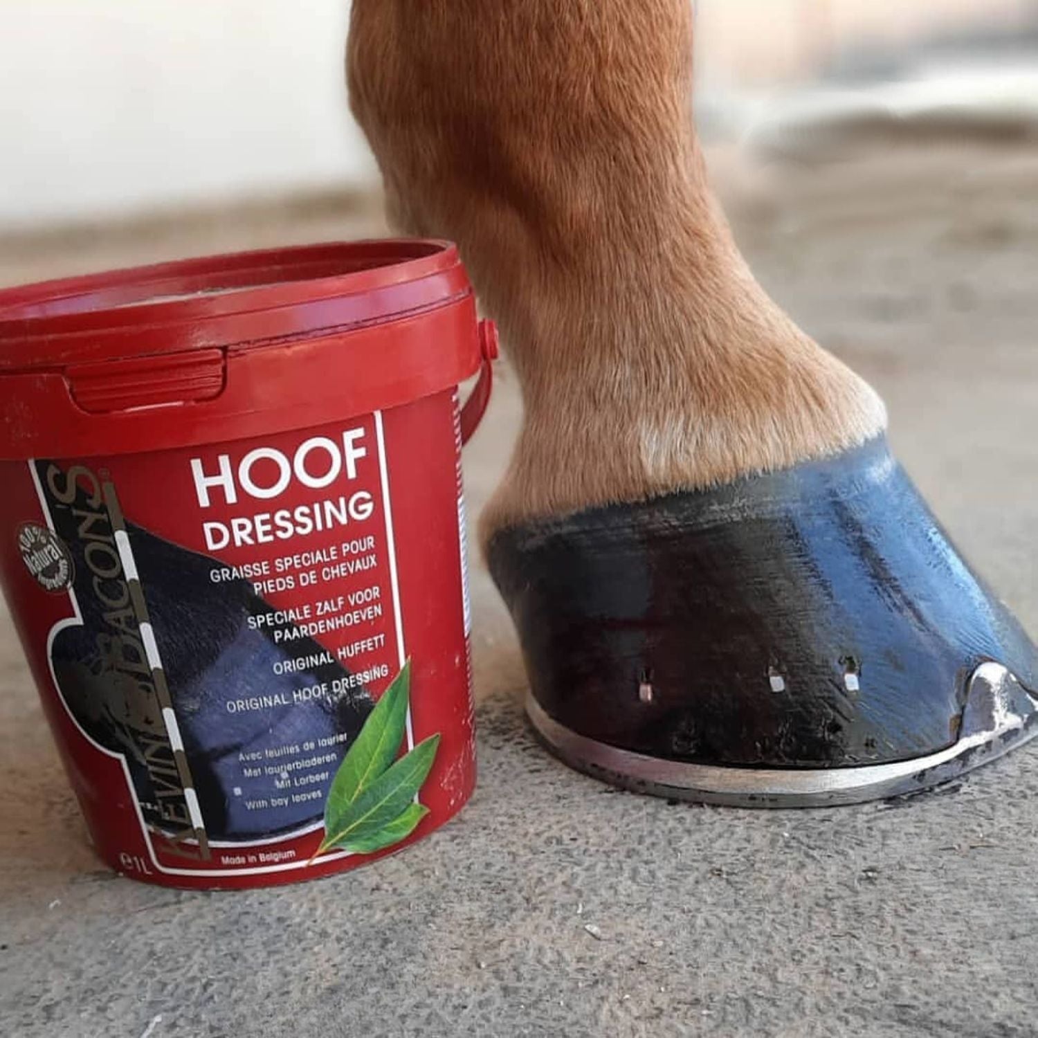 Kevin Bacon’s Hoof Dressing Original Lorbeerbalsam zur Hufpflege