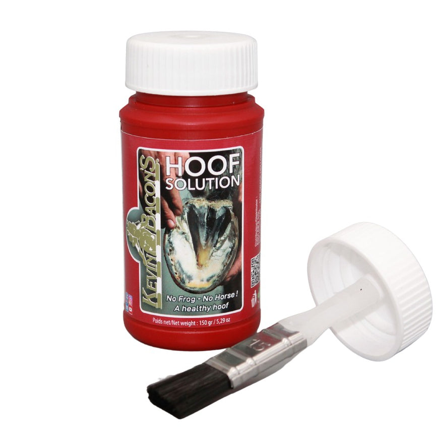 Kevin Bacon’s Hoof Solution Hufpflege