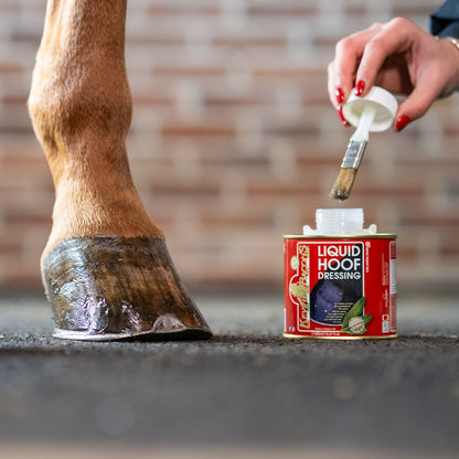 Kevin Bacon’s Liquid Hoof Dressing Lorbeeröl zur Hufpflege