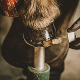 Kevin Bacon’s Liquid Hoof Dressing Lorbeeröl zur Hufpflege