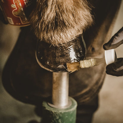 Kevin Bacon’s Liquid Hoof Dressing Lorbeeröl zur Hufpflege