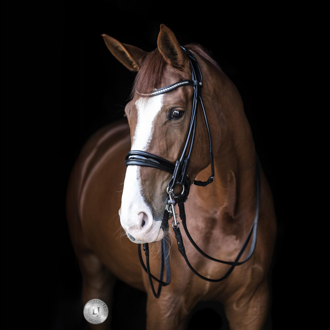 LJ Leathers Kandare Pro Selected Serrena Lack schwarz rundgenäht - ePony Reitsport