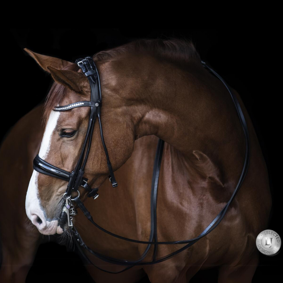 LJ Leathers Kandare Pro Selected Serrena Lack schwarz rundgenäht - ePony Reitsport