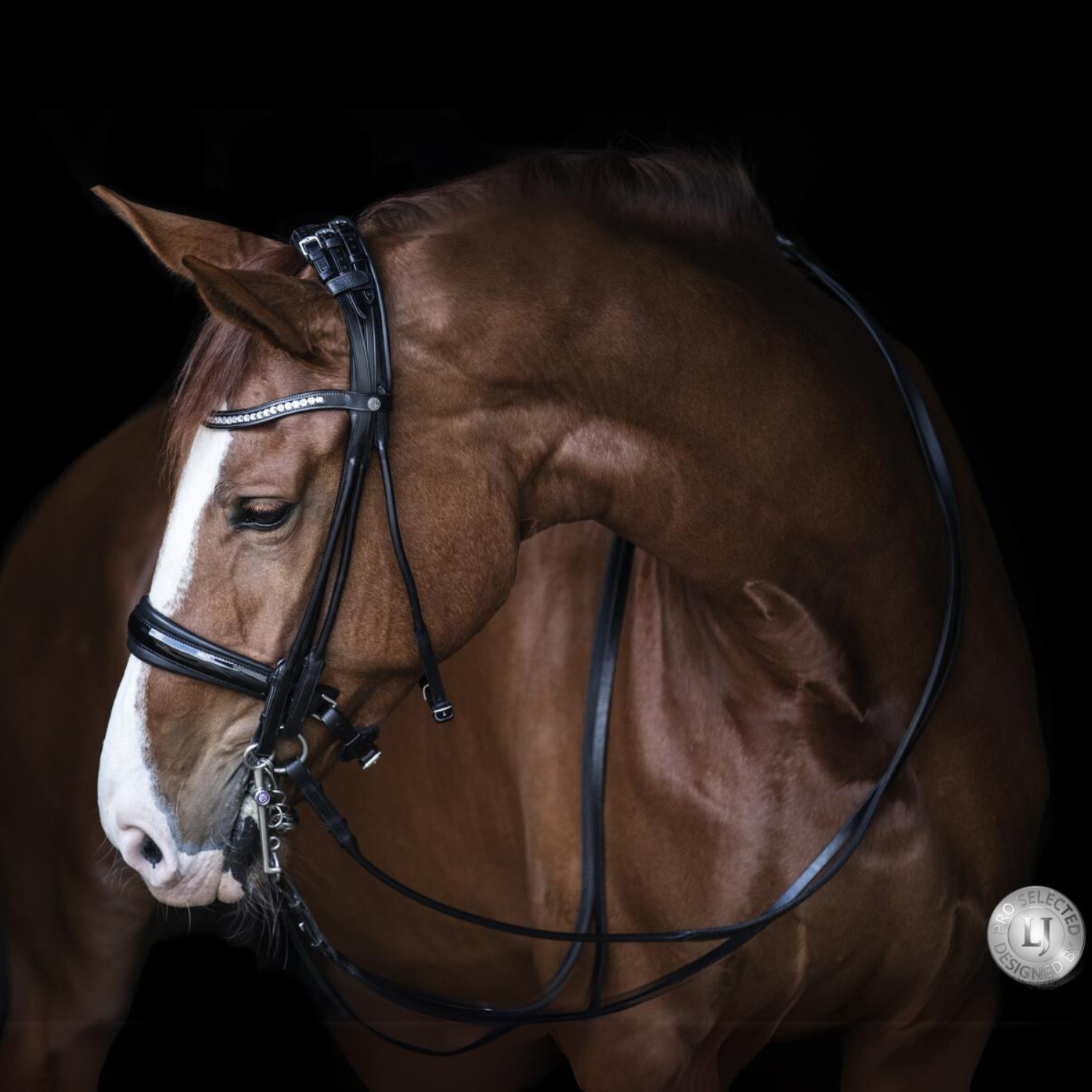 LJ Leathers Kandare Pro Selected Serrena Lack schwarz rundgenäht - ePony Reitsport