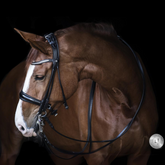 LJ Leathers Kandare Pro Selected Serrena Lack schwarz rundgenäht - ePony Reitsport