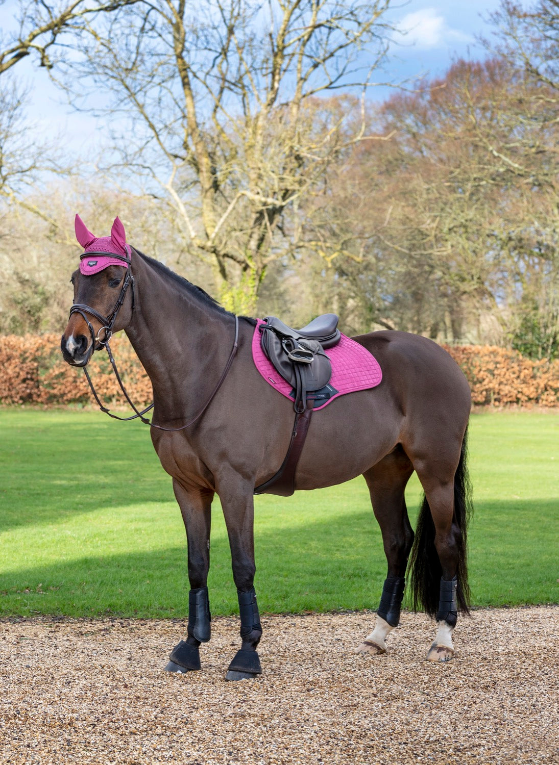 LeMieux saddle pad Luxury Suede Close Contact Square french rose