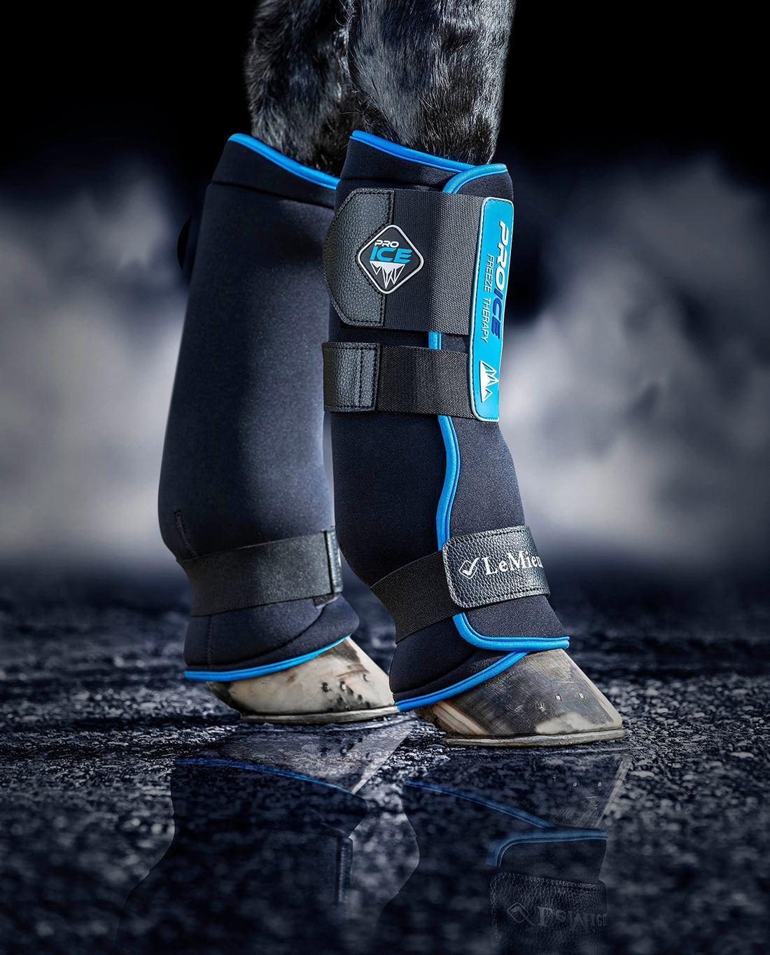 LeMieux Kühlgamaschen ProIce Freeze Therapy Boots