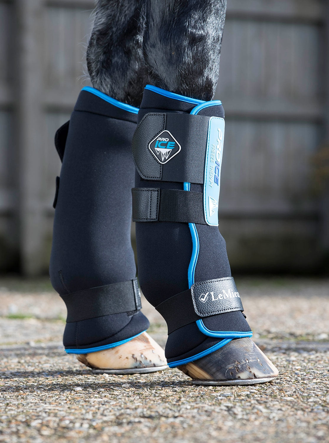 LeMieux Kühlgamaschen ProIce Freeze Therapy Boots