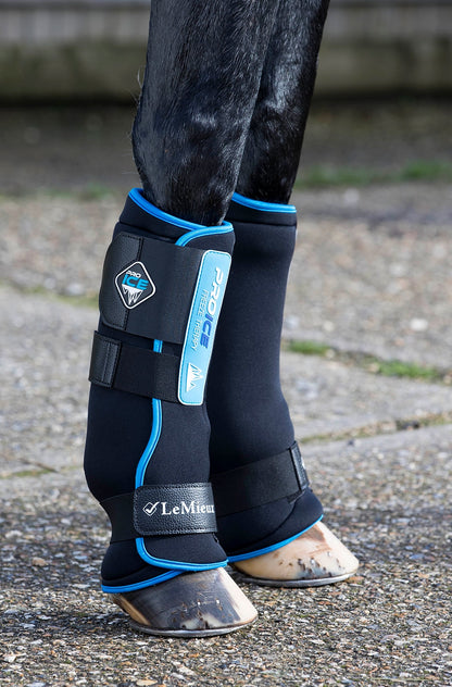 LeMieux Kühlgamaschen ProIce Freeze Therapy Boots