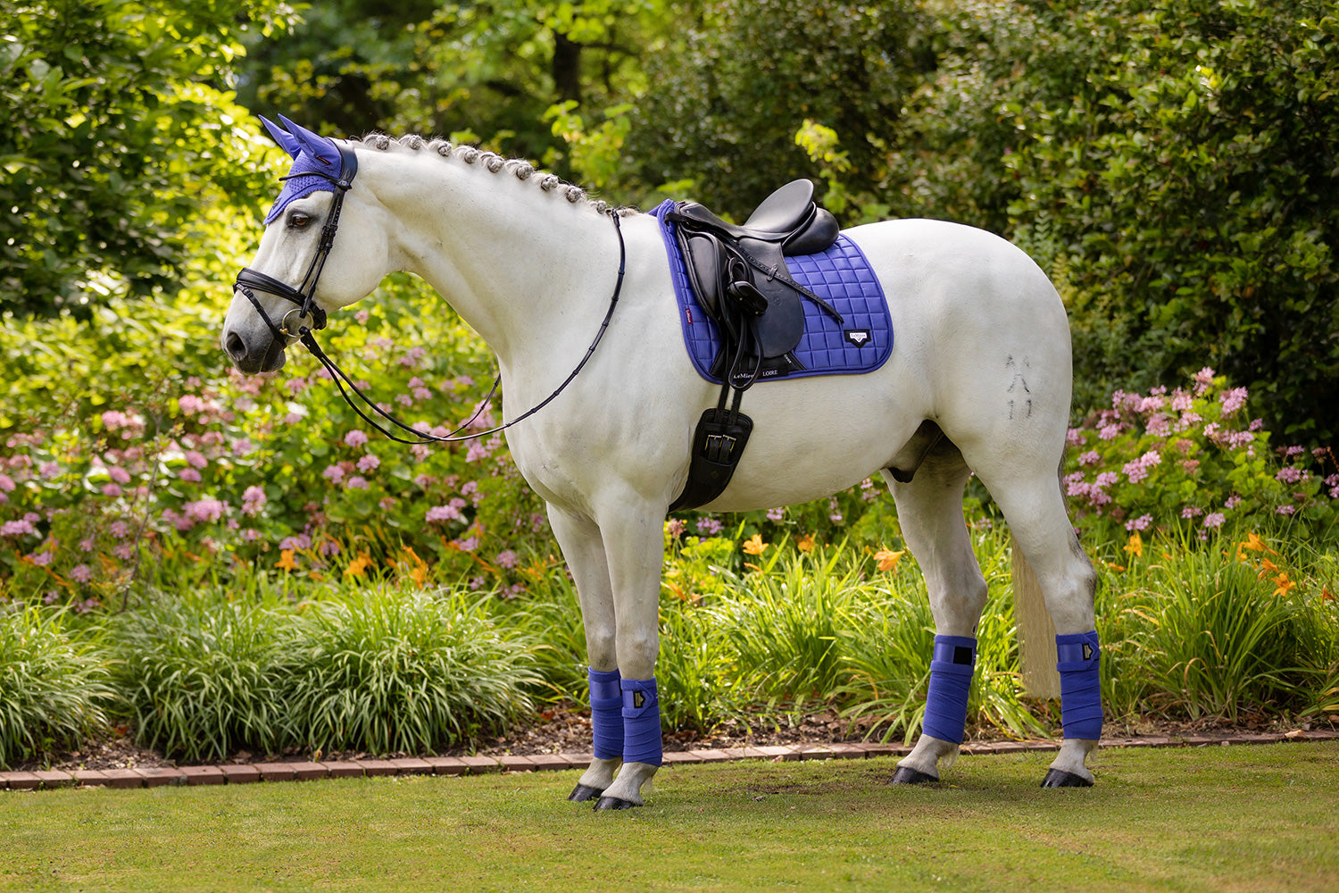 LeMieux bandages Loire Polo bluebell