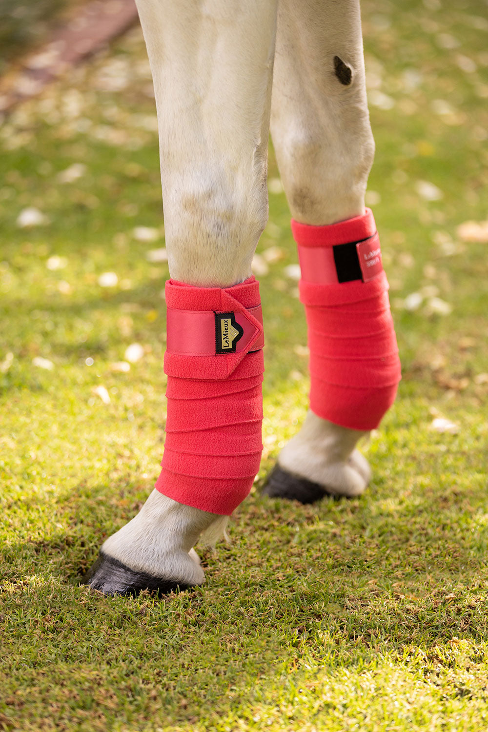 LeMieux bandages Loire Polo papaya