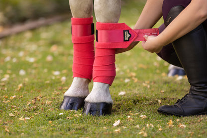 LeMieux bandages Loire Polo papaya