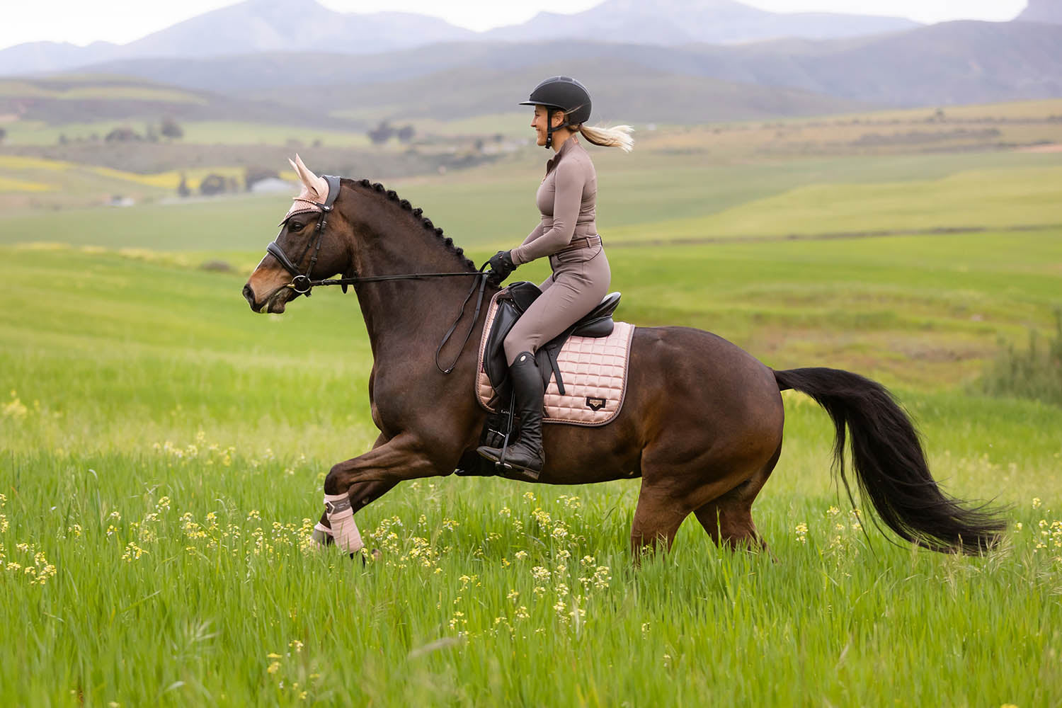 LeMieux Schabracke Loire Classic Satin Dressage Square rosé