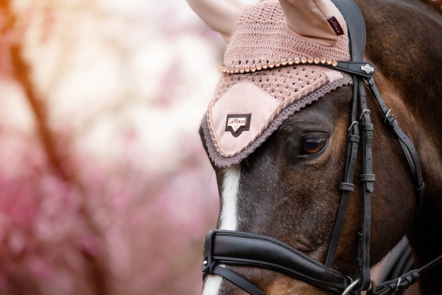 LeMieux Browband Classic Diamante rose black