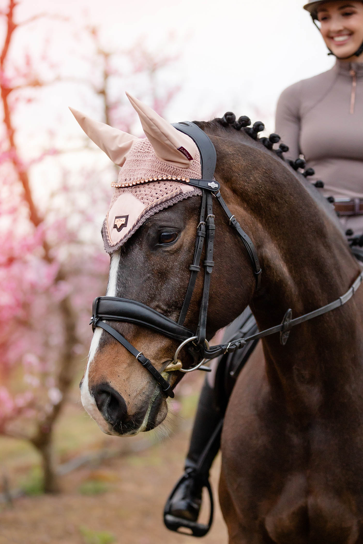 LeMieux Browband Classic Diamante rose black