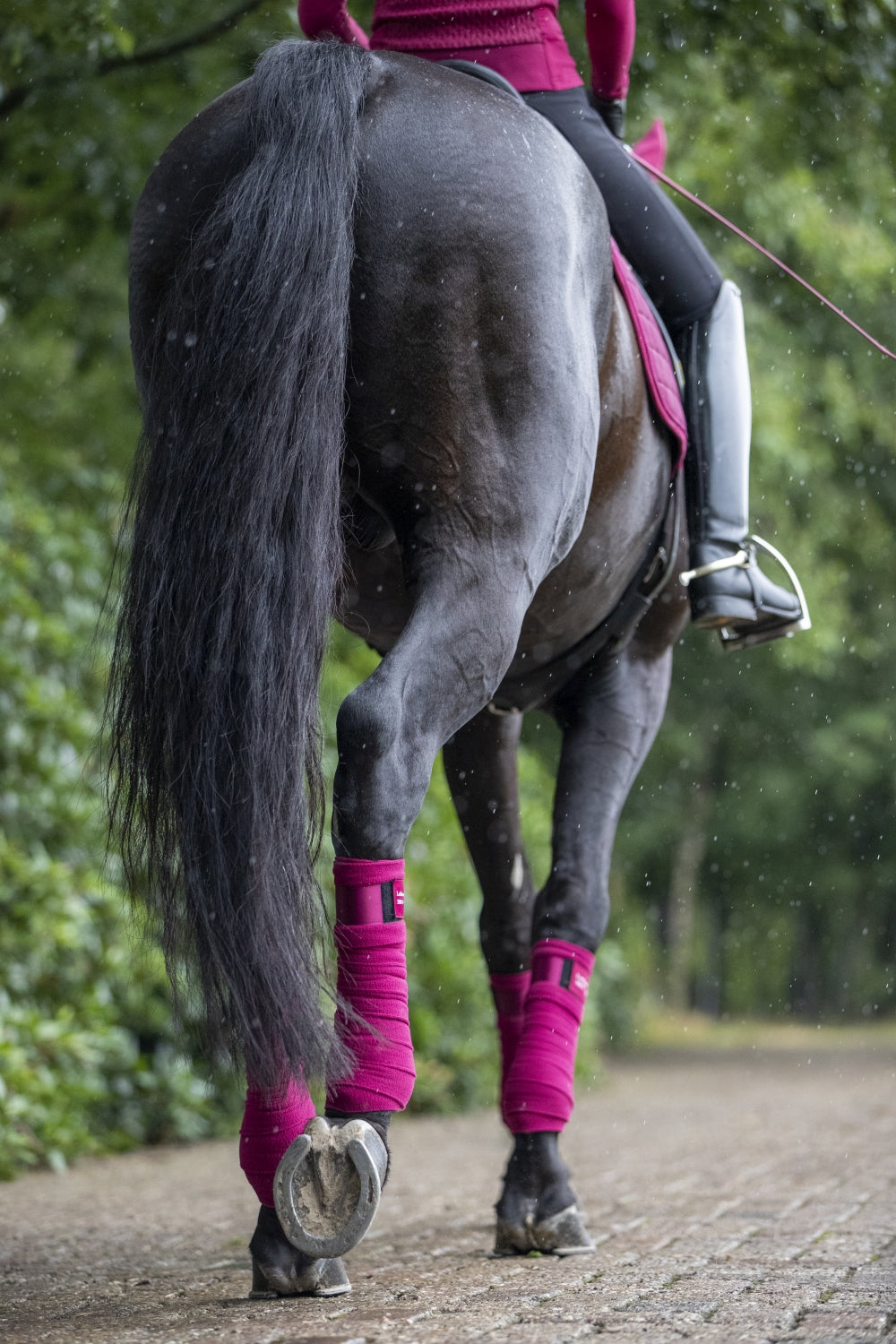 LeMieux bandages Loire Polo mulberry