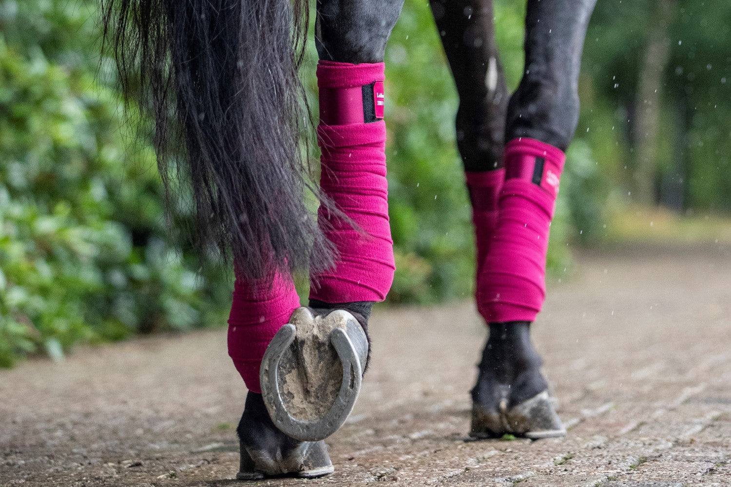 LeMieux bandages Loire Polo mulberry