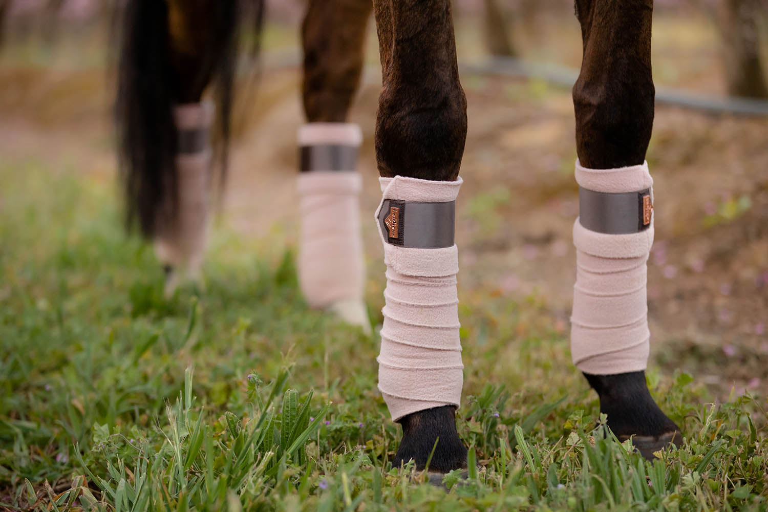 LeMieux bandages Loire Polo rosé