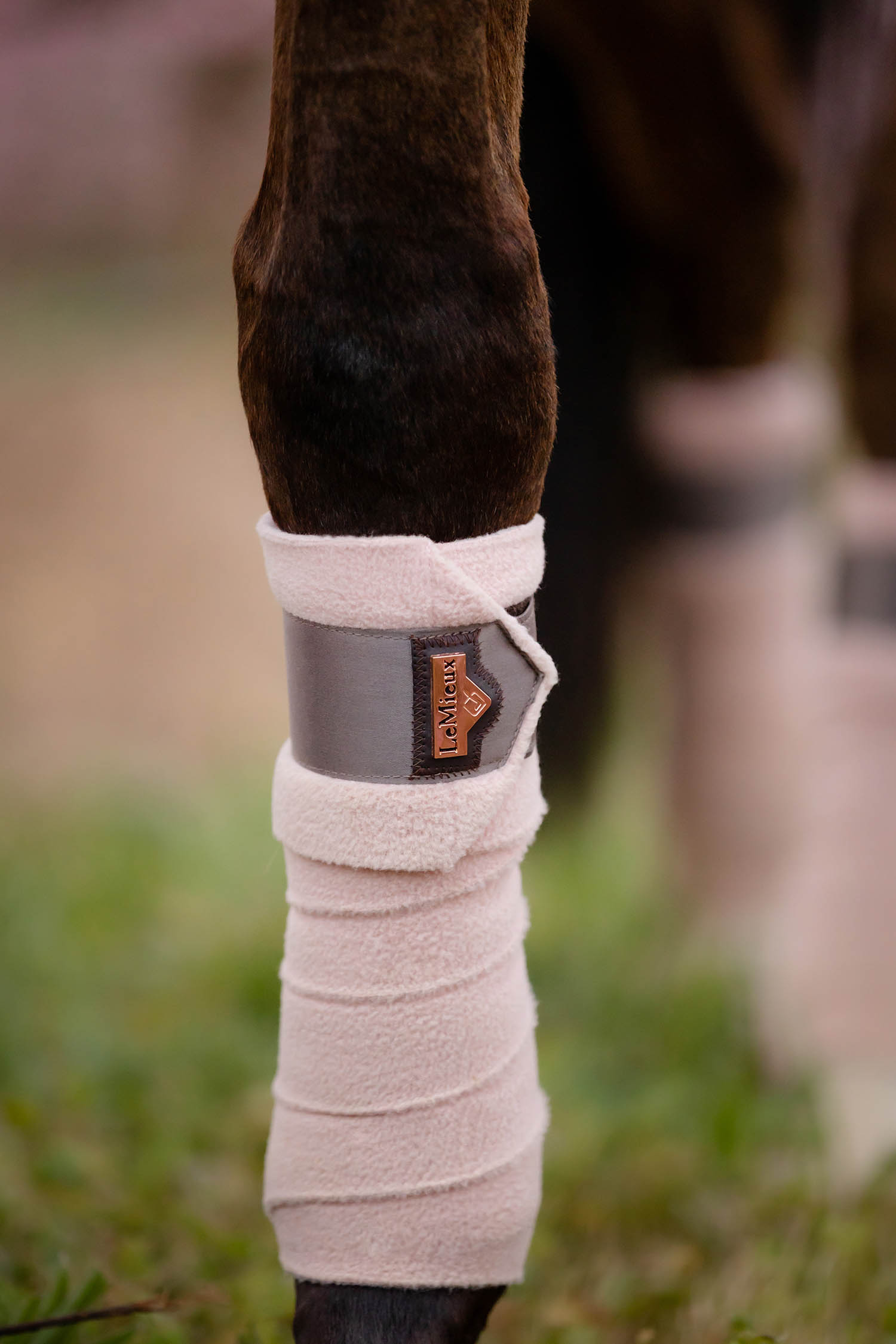 LeMieux bandages Loire Polo rosé