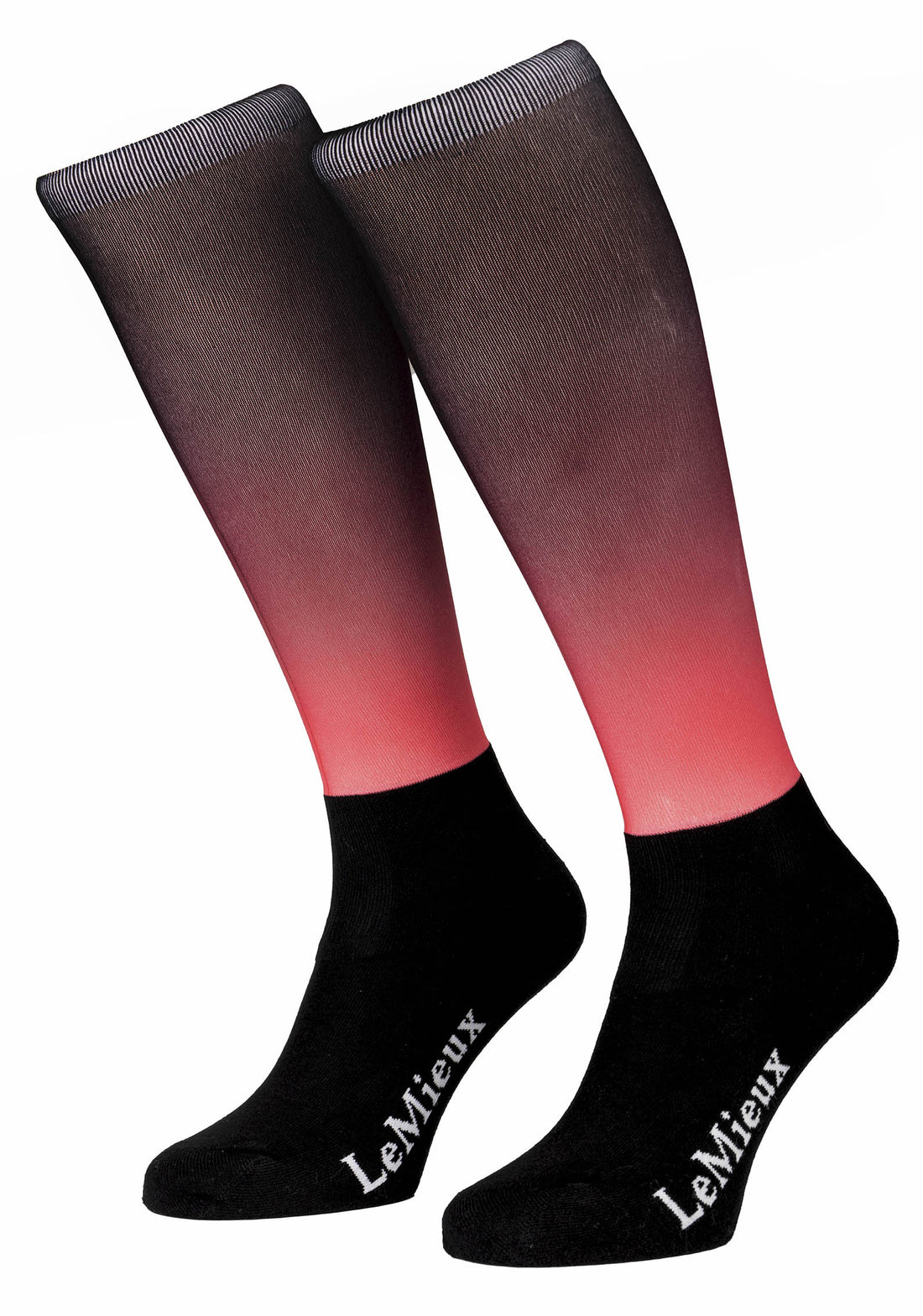 LeMieux Reitstrümpfe Spectrum aubergine papaya