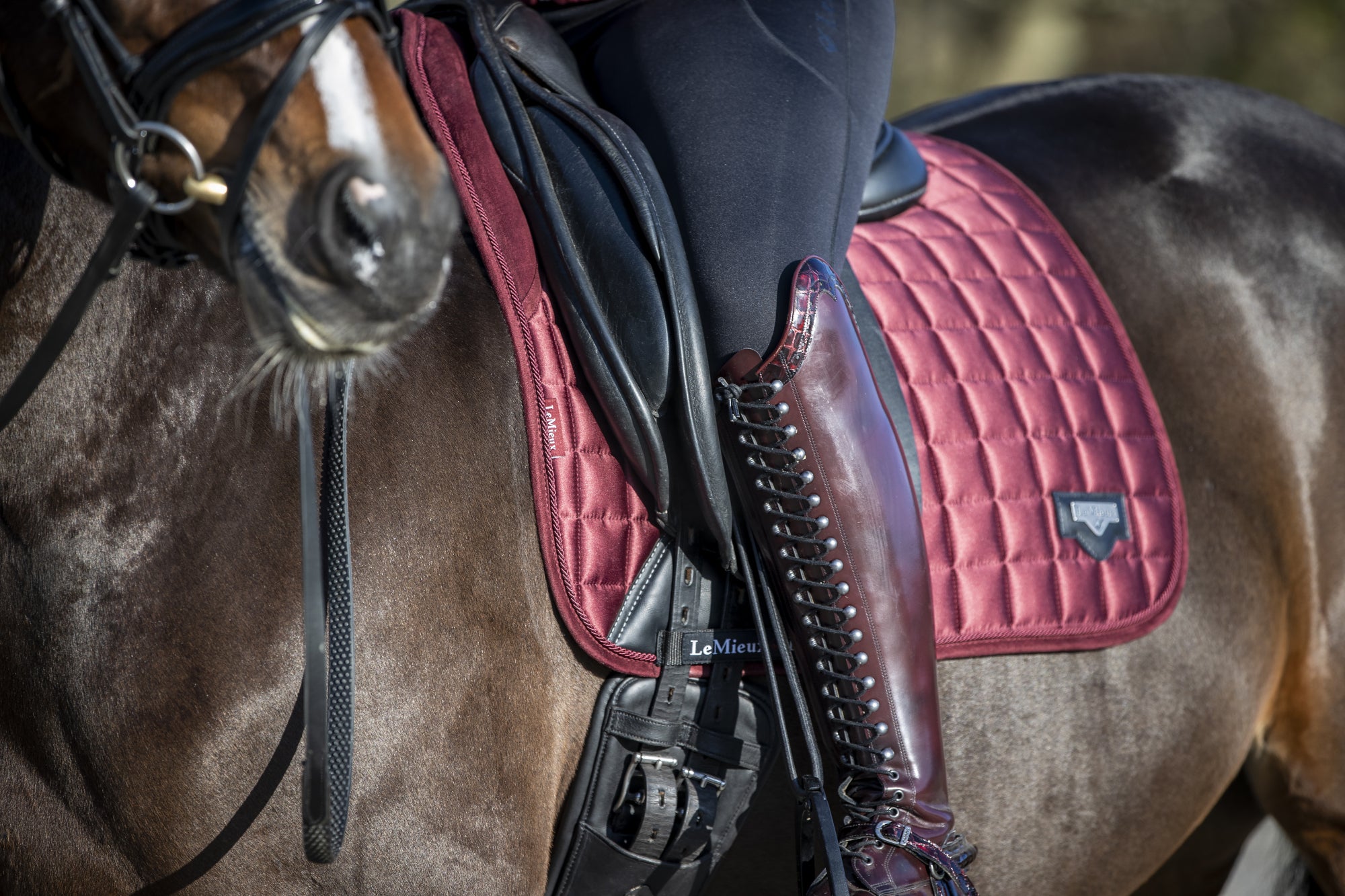 LeMieux saddle pad Loire Memory Satin Dressage Square rioja