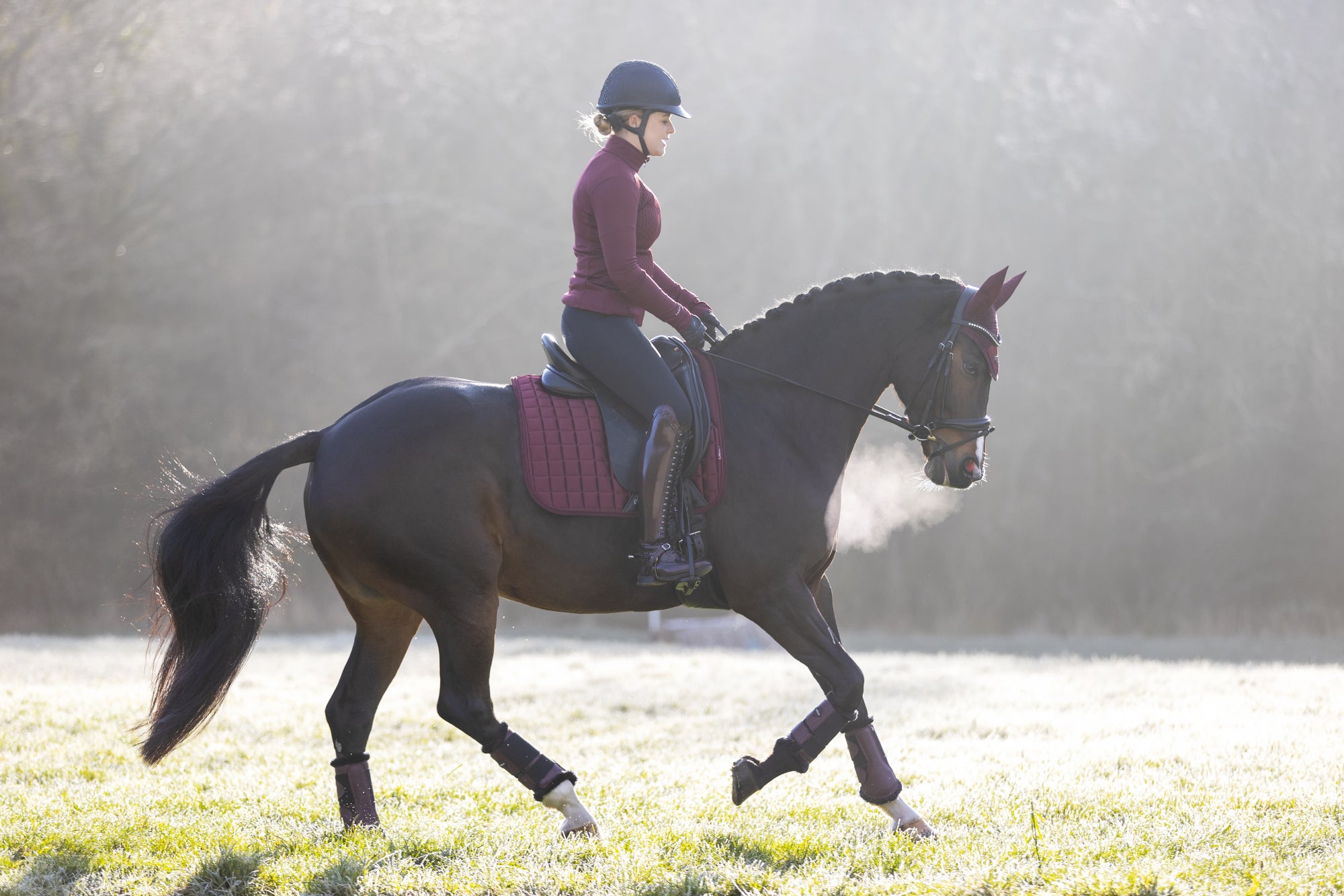 LeMieux Schabracke Loire Memory Satin Dressage Square rioja