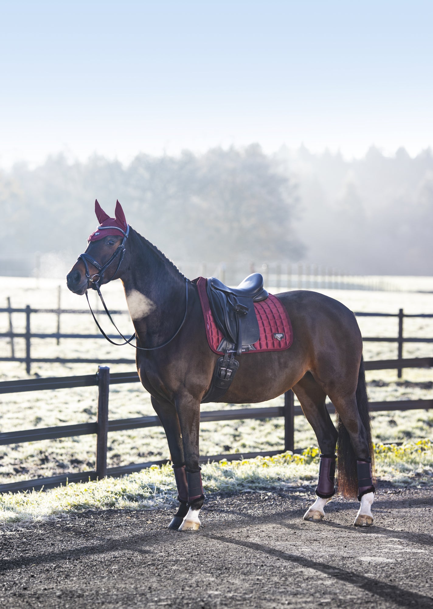 LeMieux Schabracke Loire Memory Satin Dressage Square rioja