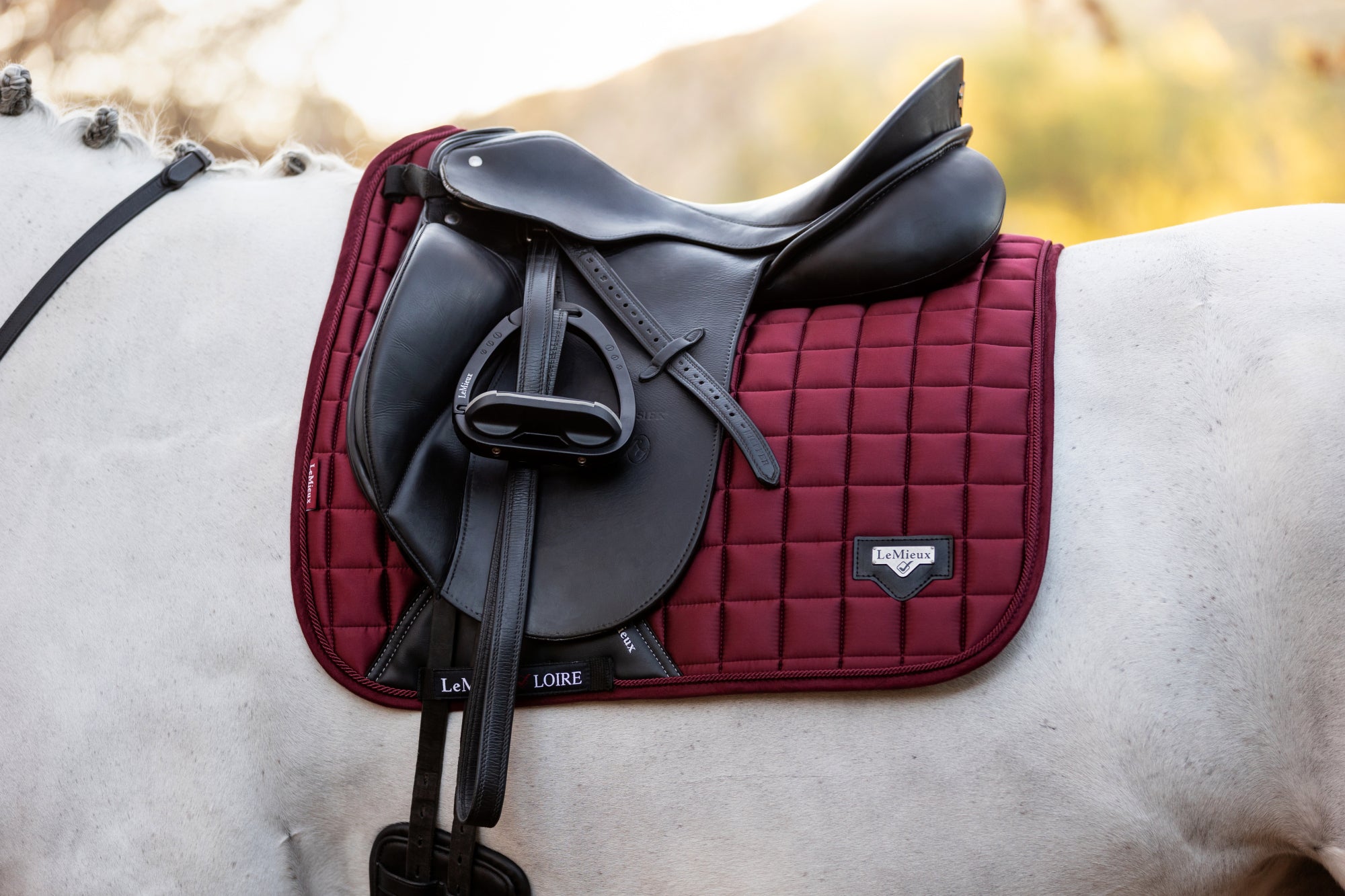 LeMieux saddle pad Loire Memory Satin Dressage Square rioja