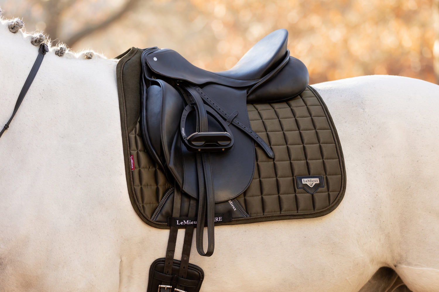 LeMieux Schabracke Loire Memory Satin Dressage Square oak green