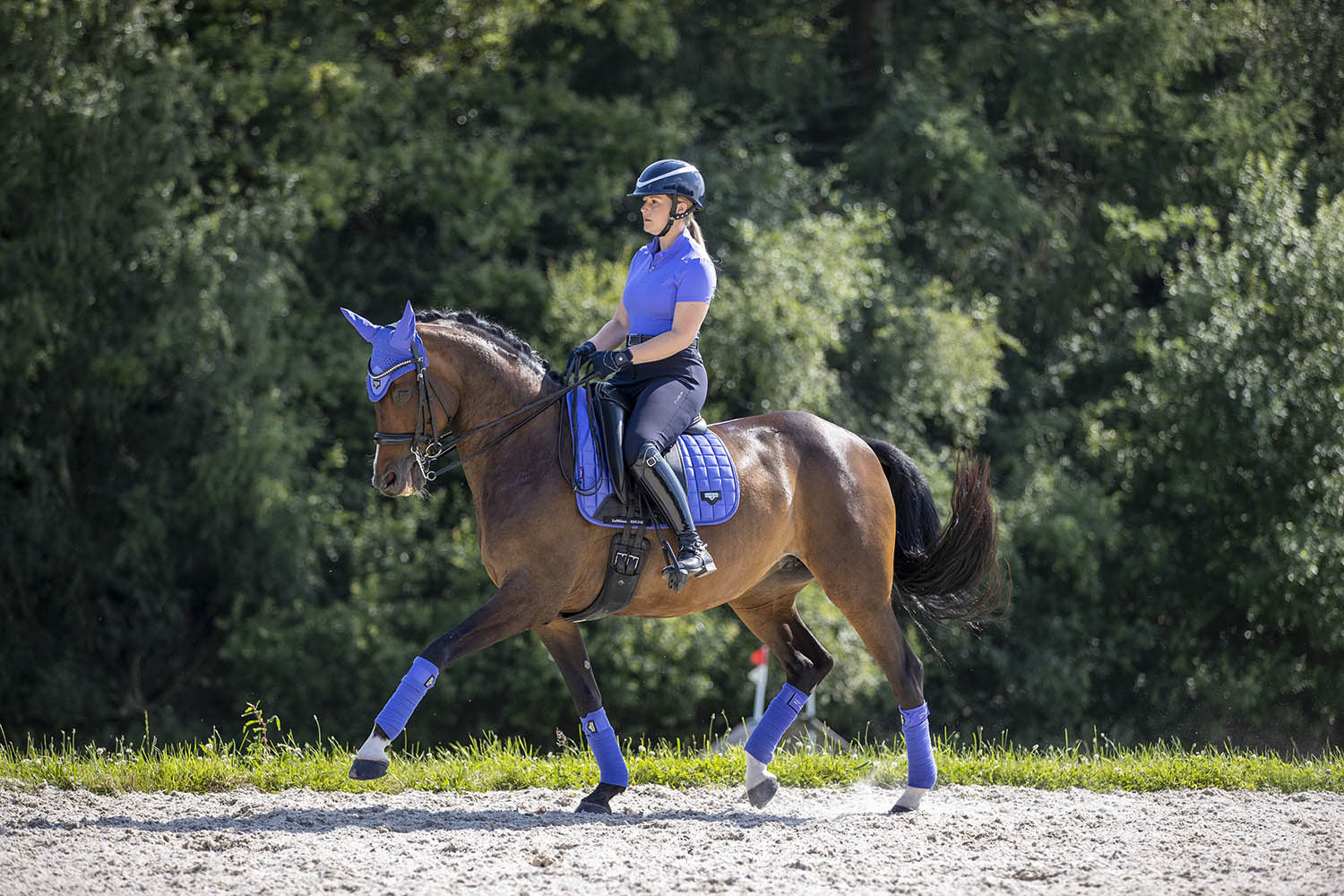 LeMieux Schabracke Loire Memory Satin Dressage Square bluebell