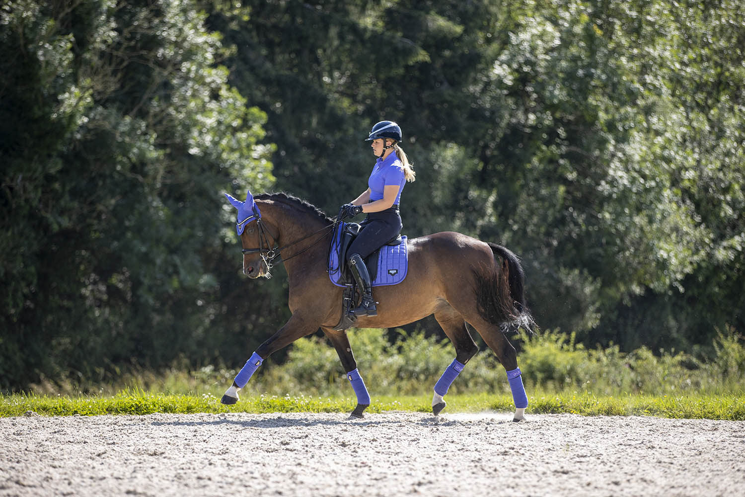 LeMieux Schabracke Loire Memory Satin Dressage Square bluebell