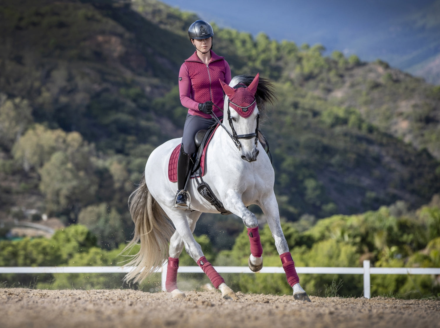 LeMieux Schabracke Loire Memory Satin Dressage Square french rose