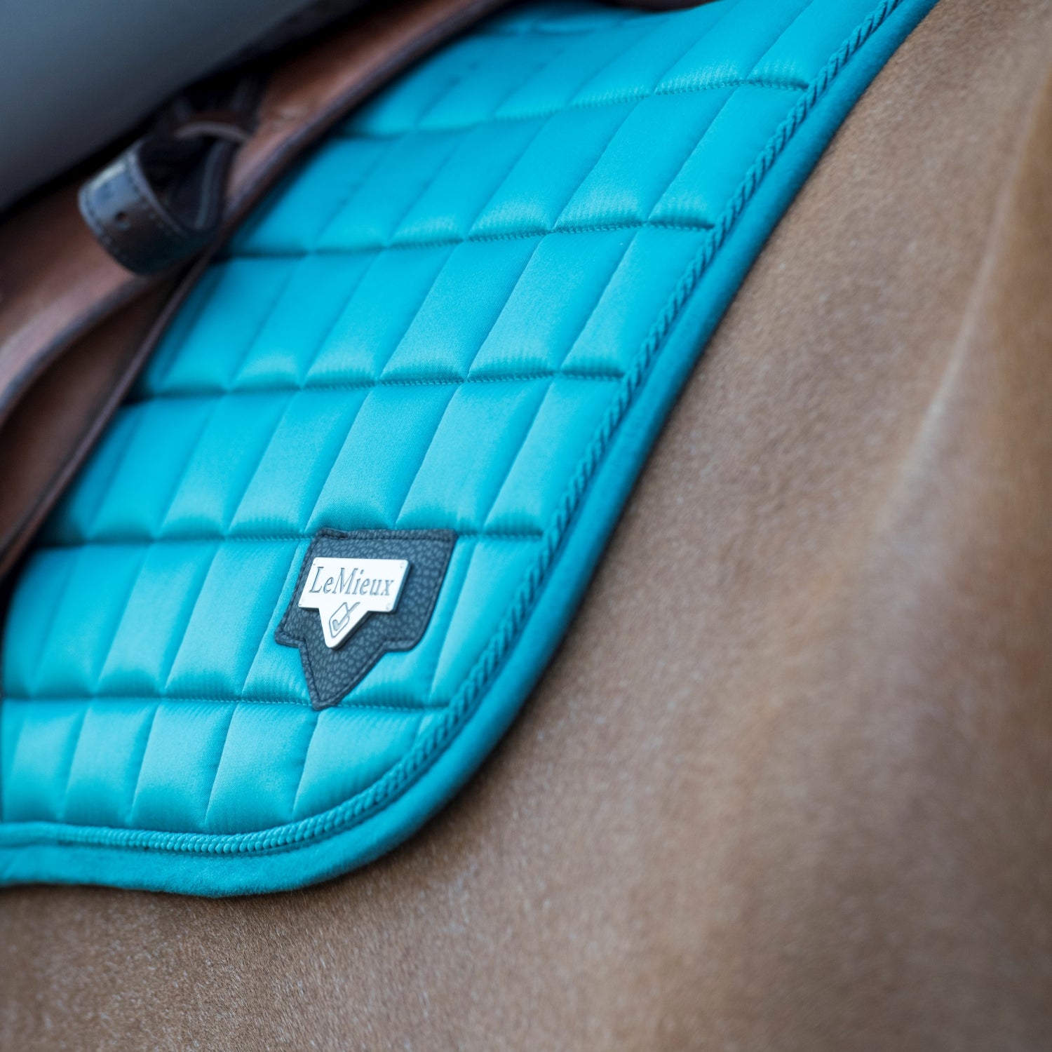 LeMieux saddle pad Loire Memory Satin Dressage Square peacock