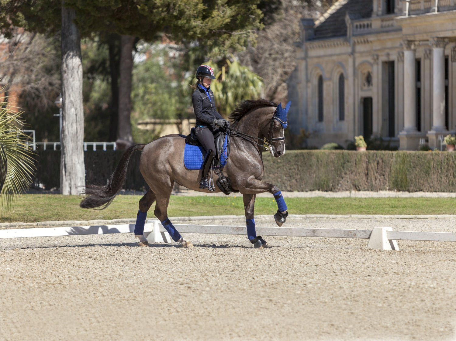 LeMieux Schabracke Luxury Suede Dressage Square benetton blue
