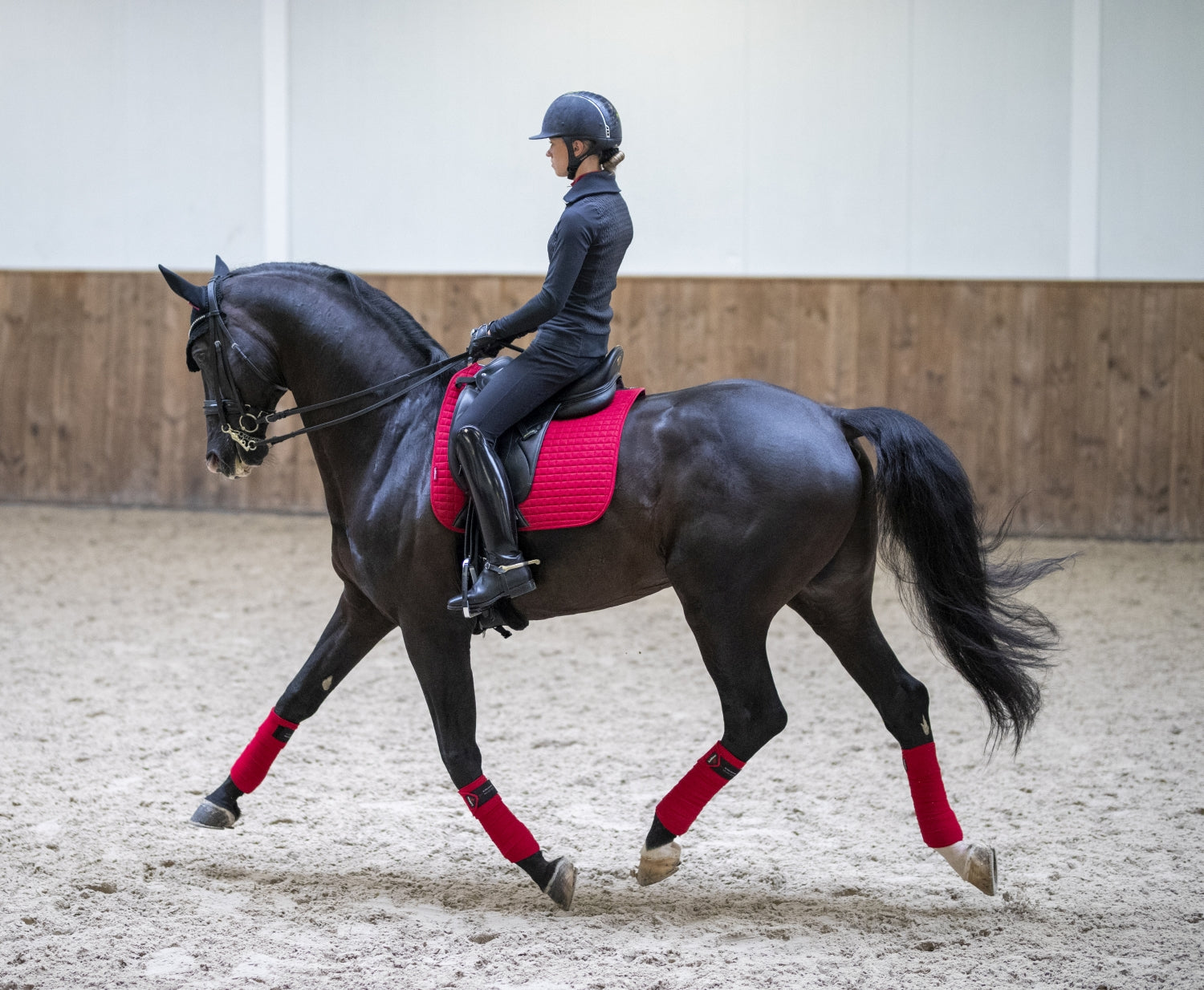 LeMieux Schabracke Luxury Suede Dressage Square chilli red
