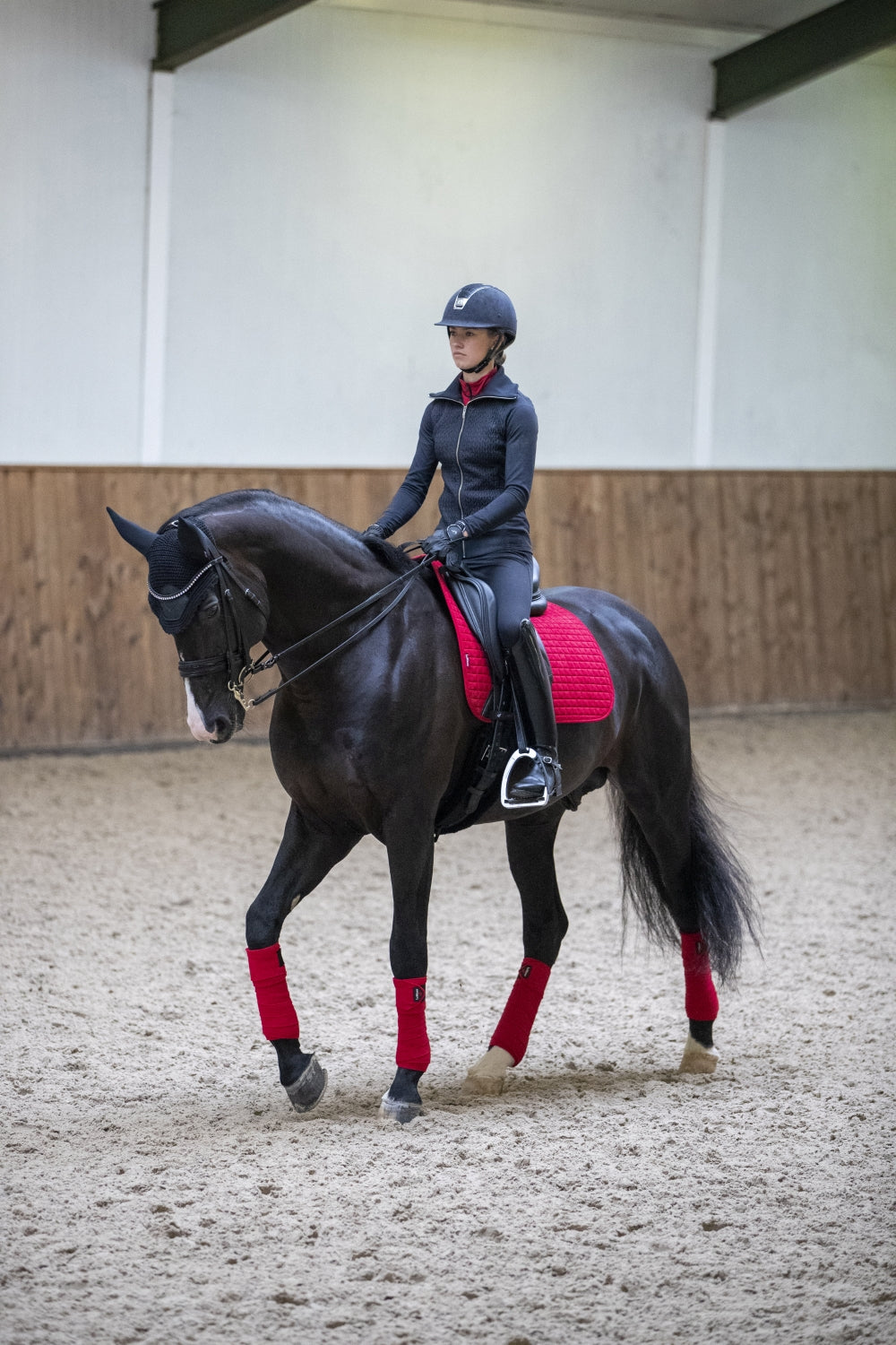 LeMieux Schabracke Luxury Suede Dressage Square chilli red