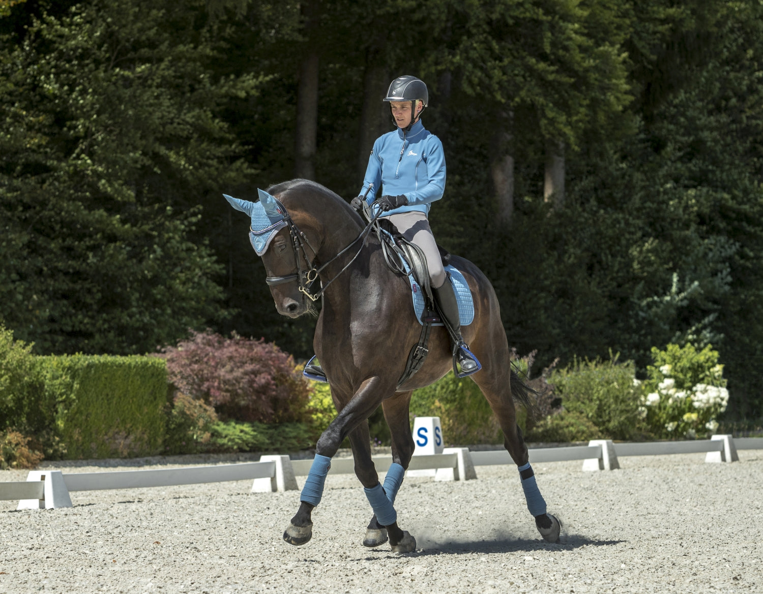 LeMieux Schabracke Luxury Suede Dressage Square ice blue