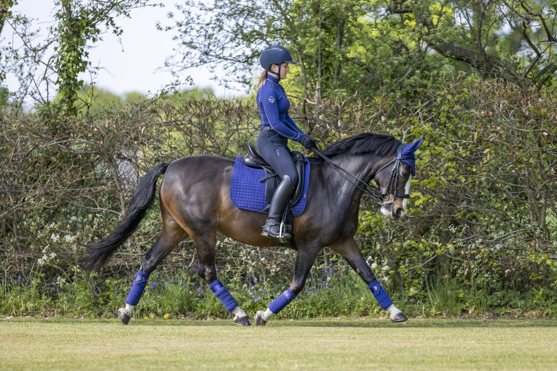 LeMieux Schabracke Luxury Suede Dressage Square ink blue