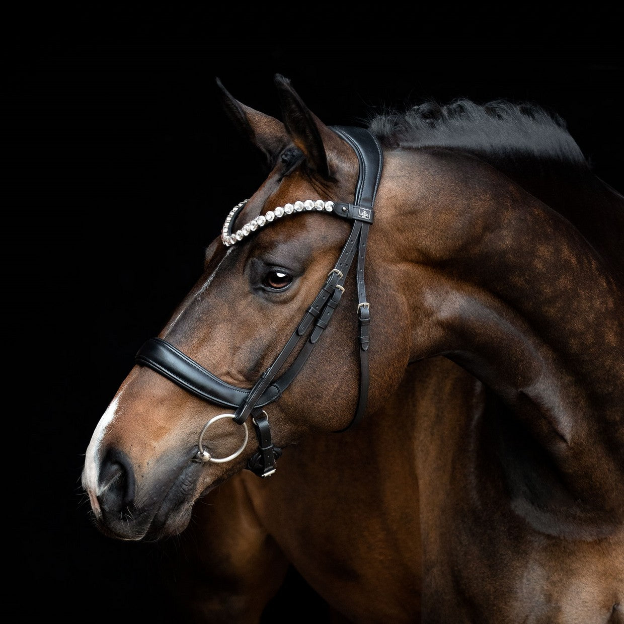 SD Design noseband anatomical without flash strap black