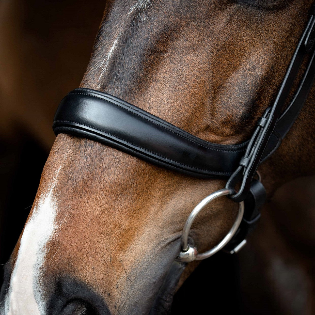SD Design noseband anatomical without flash strap black