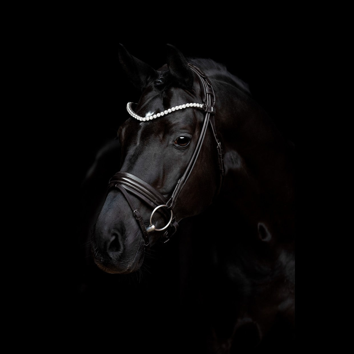 SD Design Trense Zhivago rundgenäht schwarz Lack
